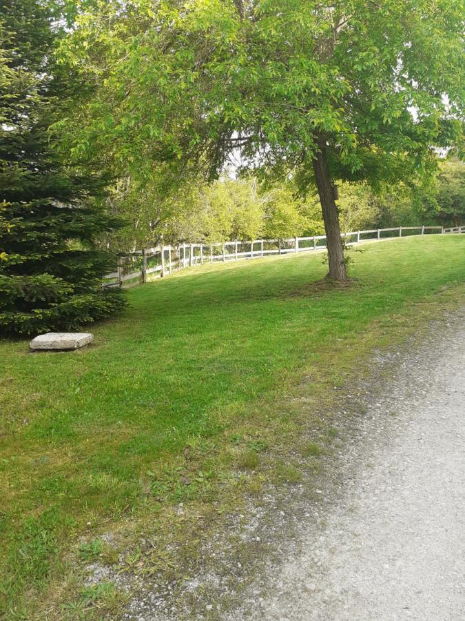 Auverg'Nature Chambre Cocon Espinasse Exterior foto